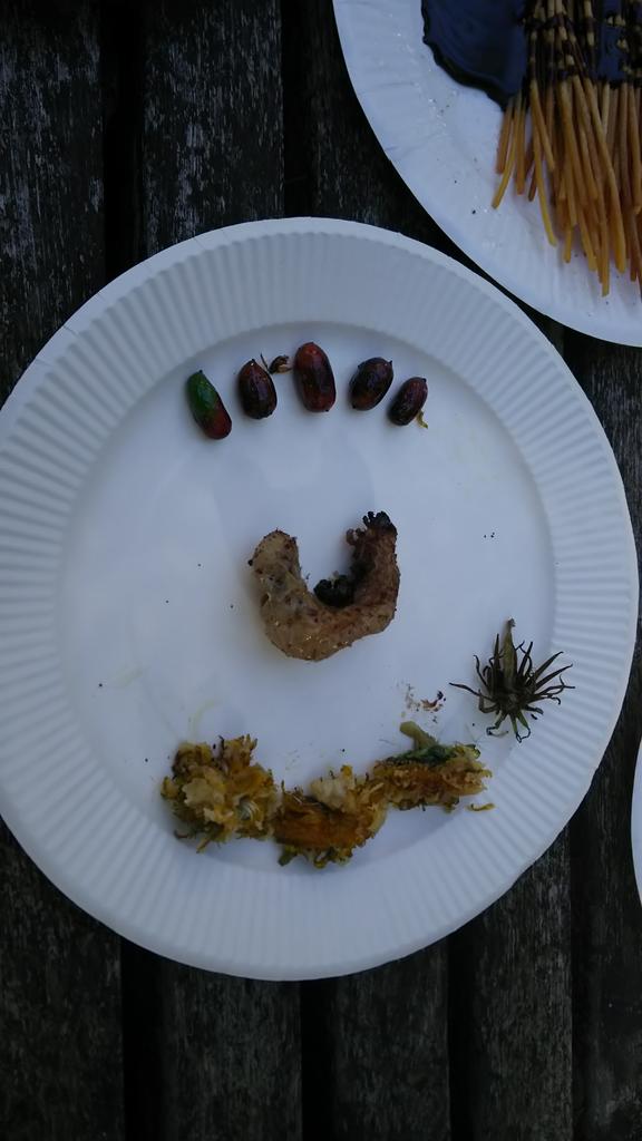 早稲田大学探検部 本日の昆虫食活動は無事に終了しました メニューはミミズ のかき揚げ 百足 蛞蝓 蜂 蝶の天ぷら蕎麦 蟻のリゾット 雀蜂とコクワガタの素揚げチョコレートソース添え などなど 趣向を凝らした昆虫料理がたくさん出来上がりました