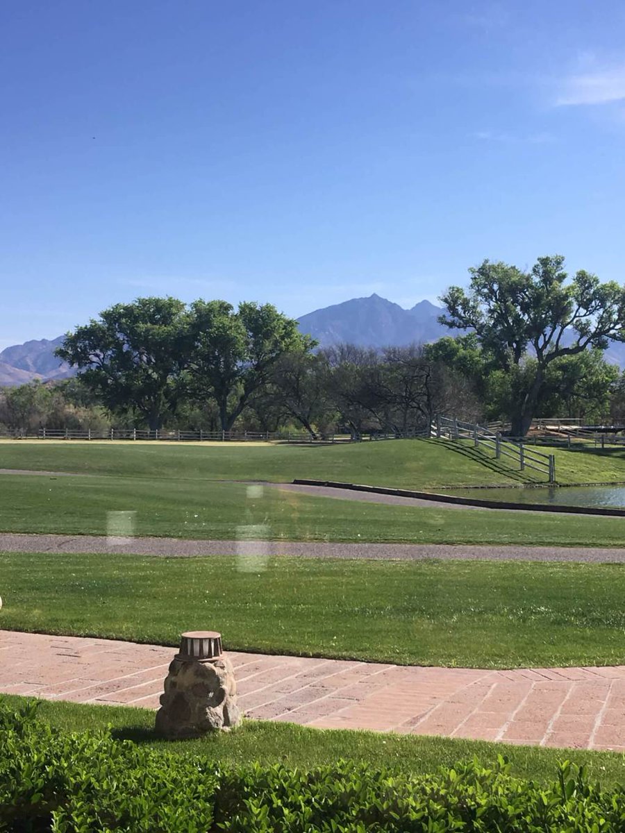 Best Restaurants From My Trip to Arizona! atravellingteen.com/?p=679