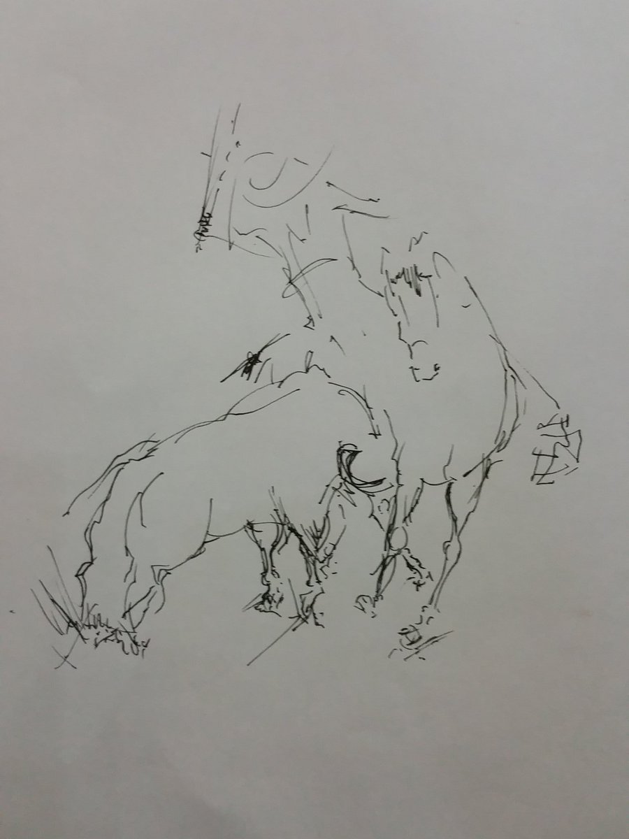 PCVillarcayo's tweet photo. Víctor Peña "dibujos taurinos" exposición Bar Bodegón d #Villarcayo Las #Merindades 
@fonso_athleticc @VctorPTristan https://t.co/pThyktRmB2