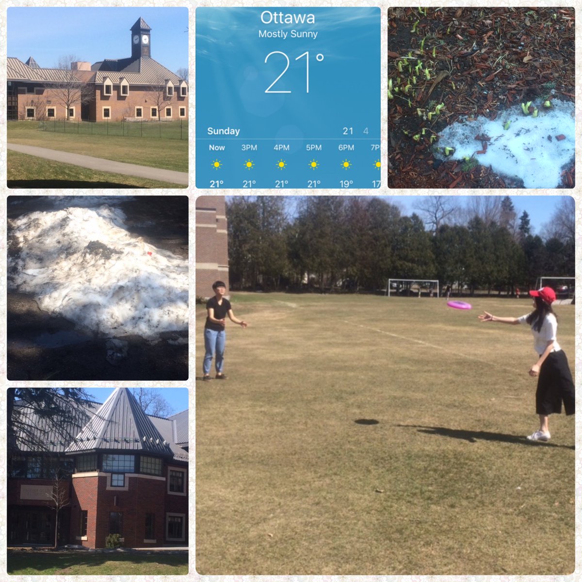 GillinResidence's tweet photo. A beautiful spring day on campus @ashburycollege #SunAndSnow https://t.co/gReIrH4JdA