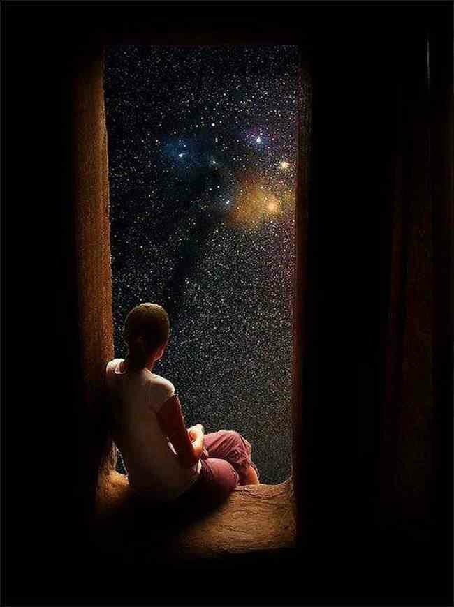 lövenål tweet media