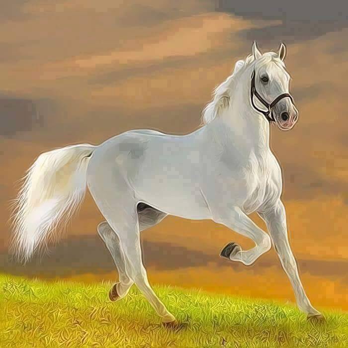 lövenål tweet media