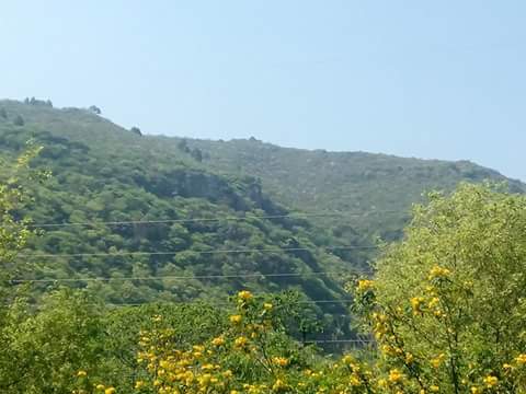 #Weekendtrekking at #Trail5 #Islamabad #trekking #margallahills #Isloolife #TrekPakistan #hikingadventures #Pakistan