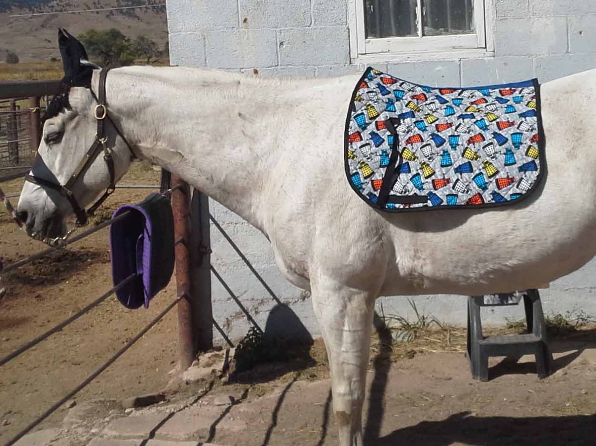 GallantGallop's tweet photo. Horse gear prototypes! https://t.co/WwjDOvq1no