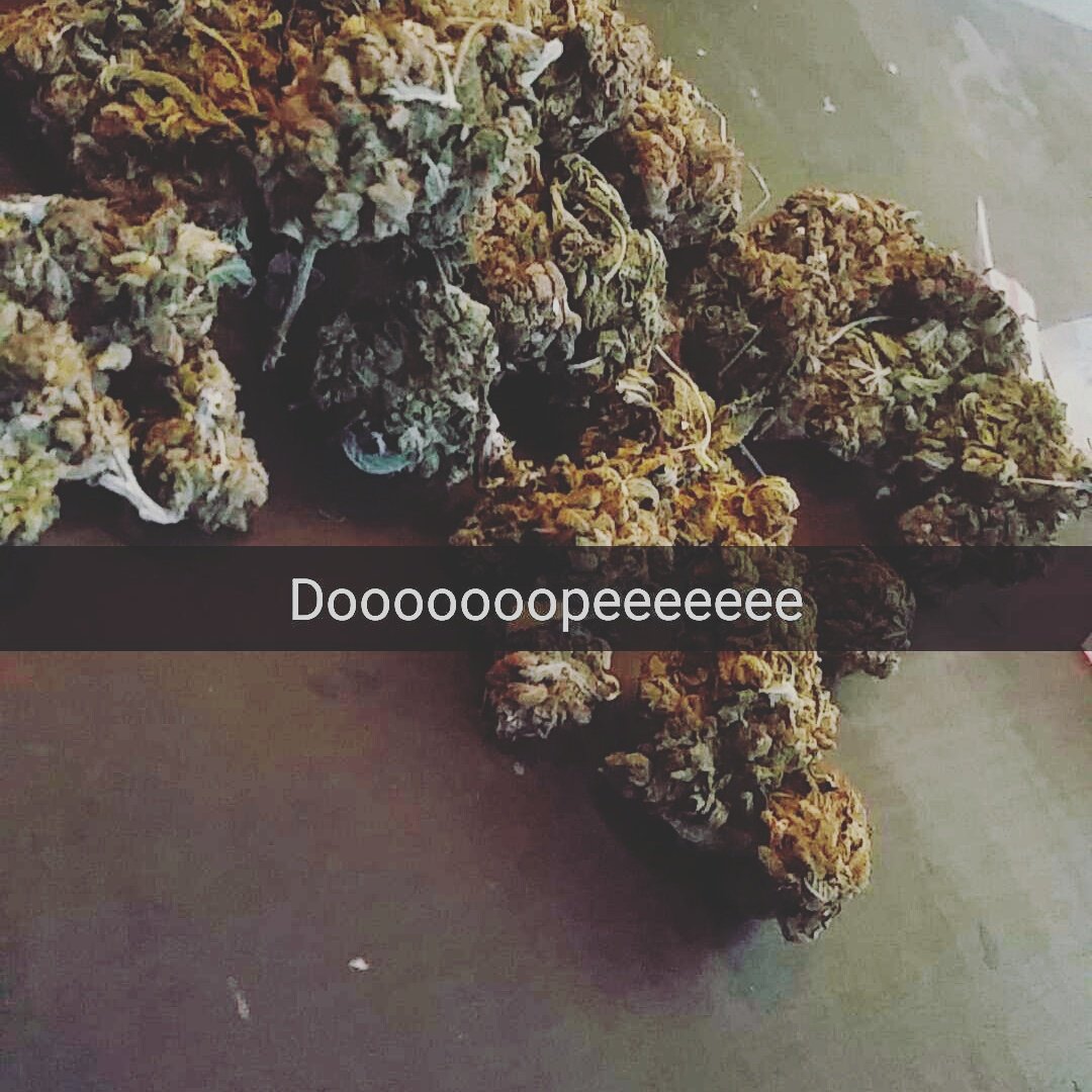 SCReal_Highh tweet picture