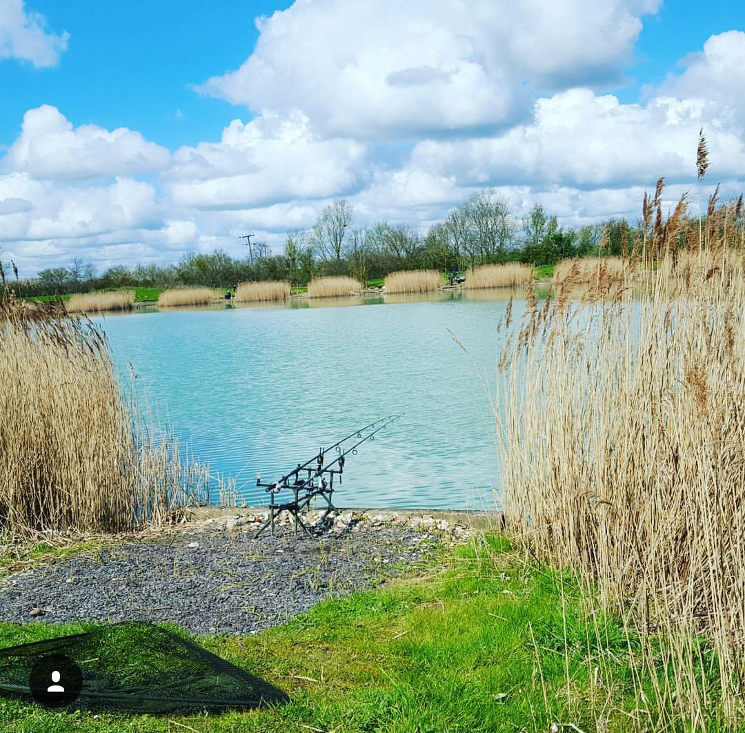 Dice mas una picada que mil palabras