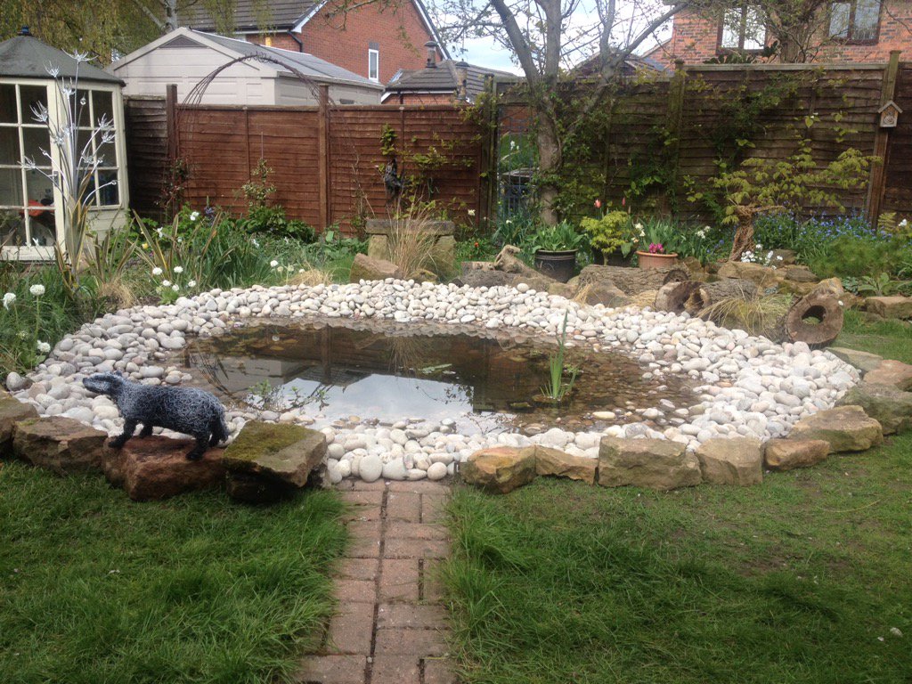 salemthekat's tweet photo. Master has built me a nice pond https://t.co/m75ENt8Npl
