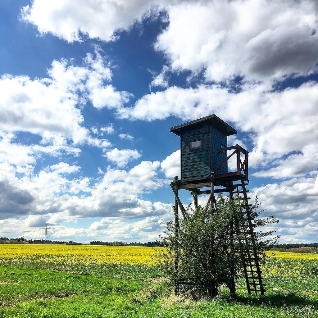 StraMaMax's tweet image. The deerstand. #deerstand #hochsitz #raps #blauerhimmel #wolken #sonnenschein #kueserplateau #stramamax