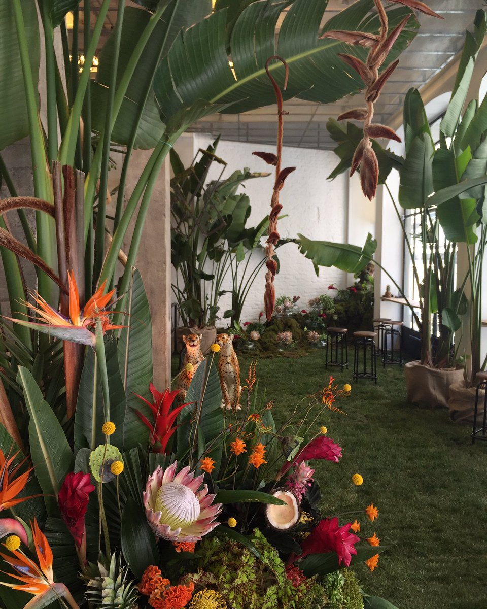ece_sukan's tweet photo. Last 2 days!Come to our Tropic Wonderland at #PERA64π₯#UrbanTropics #PopUpGreenhouse
Sound installation by #74studio https://t.co/vxTlDP6xTJ