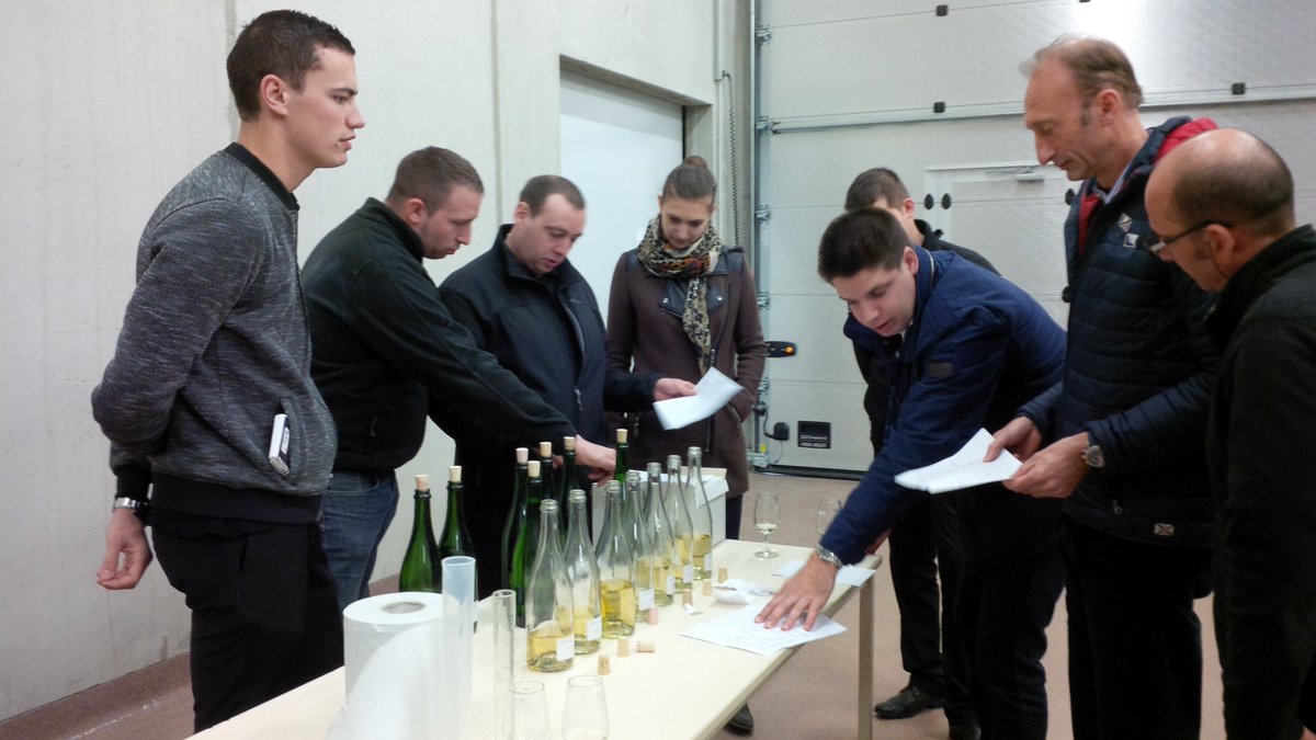 Nouvelle expérience pour  l'équipe de Sommeliers de la Maison Lameloise #lameloise,  super moment !!