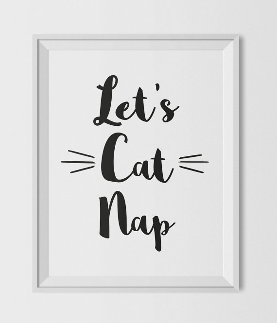 ArtTeaType's tweet photo. This is my Sunday. #catnap https://t.co/Egzceq5bDG https://t.co/pY8MXuEOXe