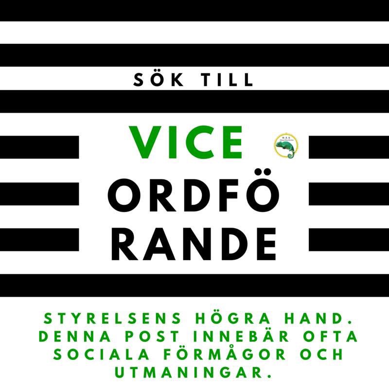 MEelevkar's tweet image. 