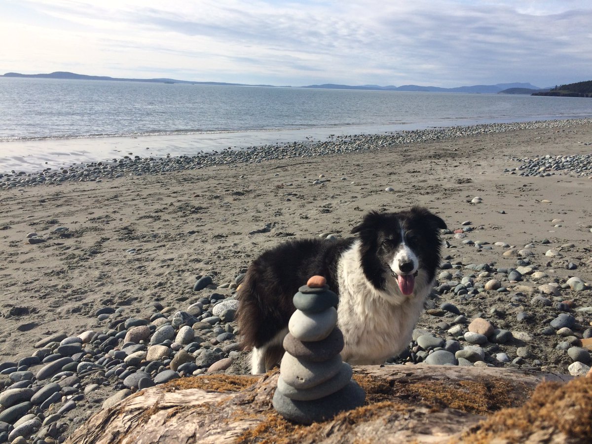 SerSamSEA's tweet image. Sunset #DeceptionPass Lots of partiers in the campground last night. #sleepdeprived