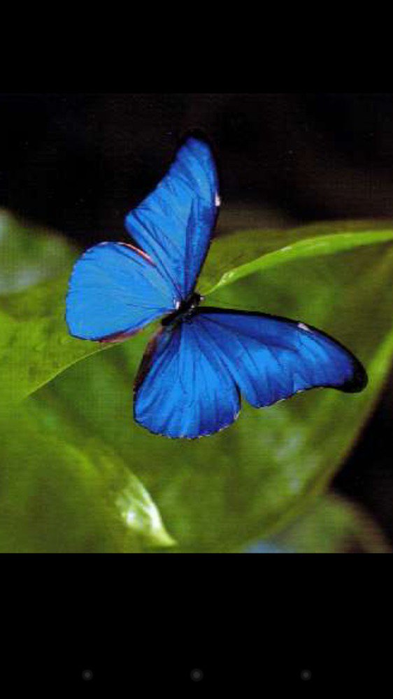 ingenu_l's tweet photo. @Emma6961 évasion #LeMorpho #Guyane
Bonne fin de dimanche!';)) https://t.co/7auImFcw2u