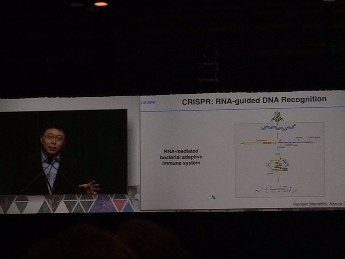 evilarsan's tweet image. Dr Zhang on his lab refined version of #CRISPR for #gainoffunction #lossoffunction studies new tool #cancerresearch