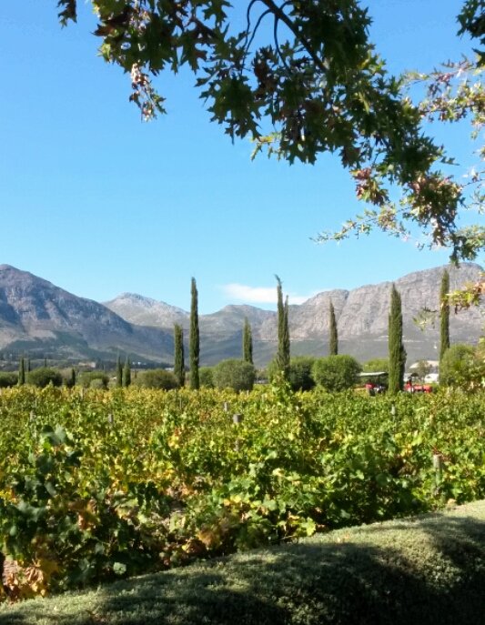 breadbubblesza's tweet photo. Beautiful day for a wine tasting in @Franschhoek_SA @grande_provence https://t.co/Y2fP5h25ED