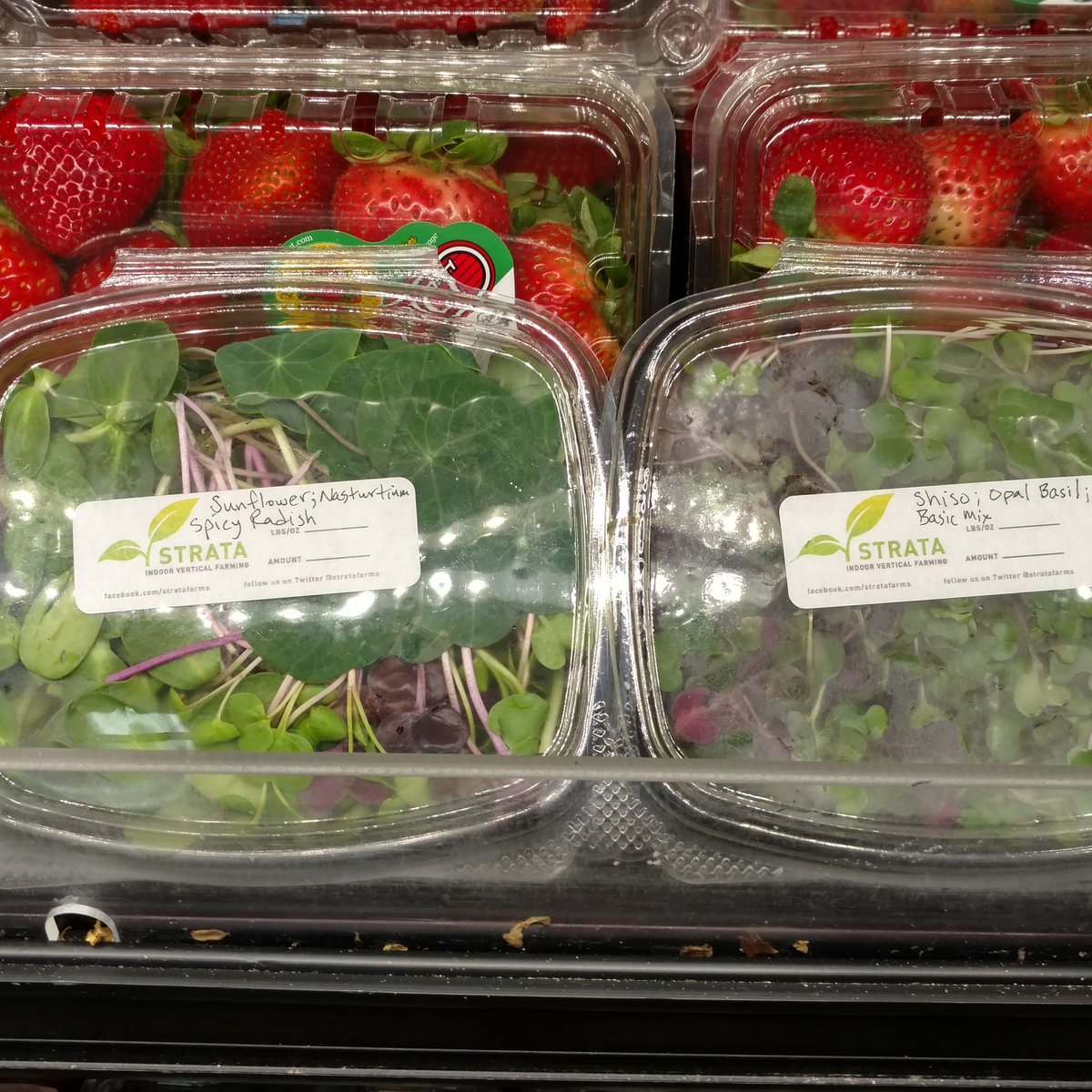 StrataFarms's tweet image. Our micros at @FoodFrontCoop.Just delivered easy grab and go containers.Spice up salads, sandwiches and other dishes