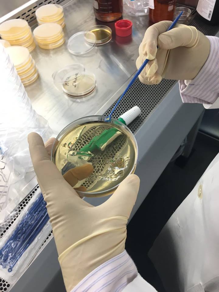 KarimHmk36's tweet photo. Agar diffusion test #IBDAA2016 #AUB150 @aubncc https://t.co/nJztTVjhQL