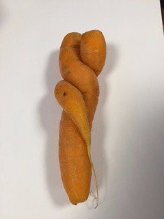 Ugly Fruit and Veg tweet media