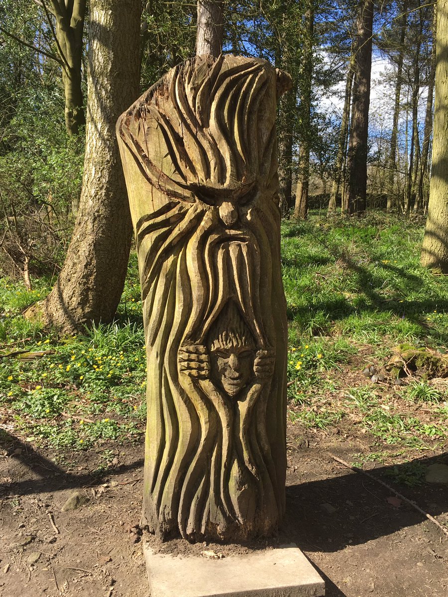 davidmbarnett's tweet photo. Sculptures at St Ives wood near Bingley https://t.co/emLMCsmO3Q