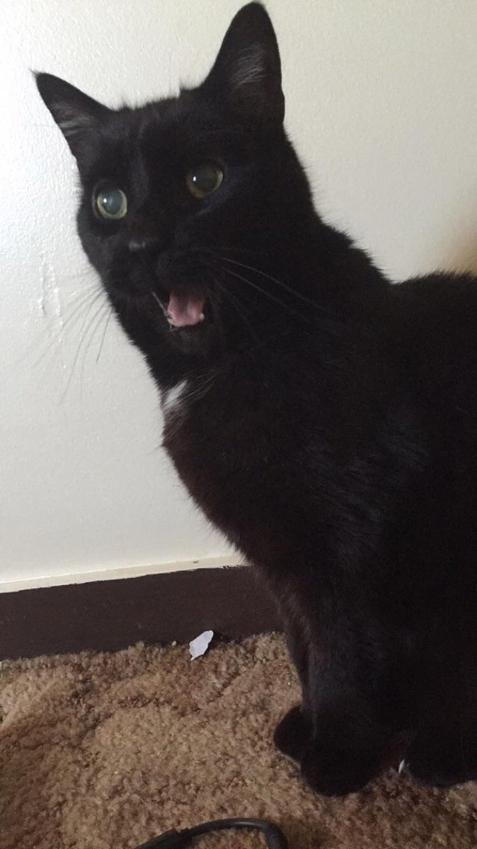 Z955's tweet photo. Realizing that it's already Sunday night like #NoMoreWeekend https://t.co/eNXCTNoLSi