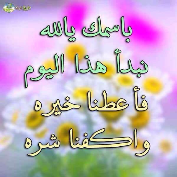 @Mh_1378