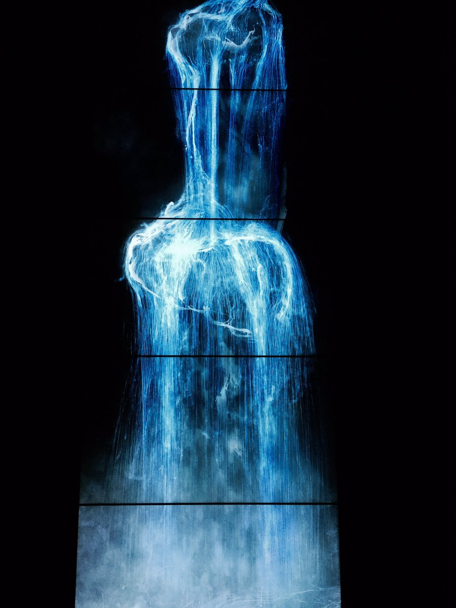 delialebon's tweet photo. We believed that digital technology can expand art! @teamlab_news
J'adore! !#PACEteamLab #PaceArtTech https://t.co/llViHUHs6o