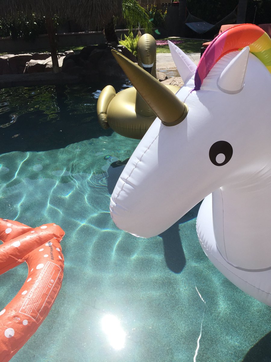 GoldSoulla's tweet photo. Nothing but good poolside vibes! Happy #SundayFunday #swimfloat #unicornfloaty #unicorn
https://t.co/FwKXjxQvMp https://t.co/xBN94AcBaF