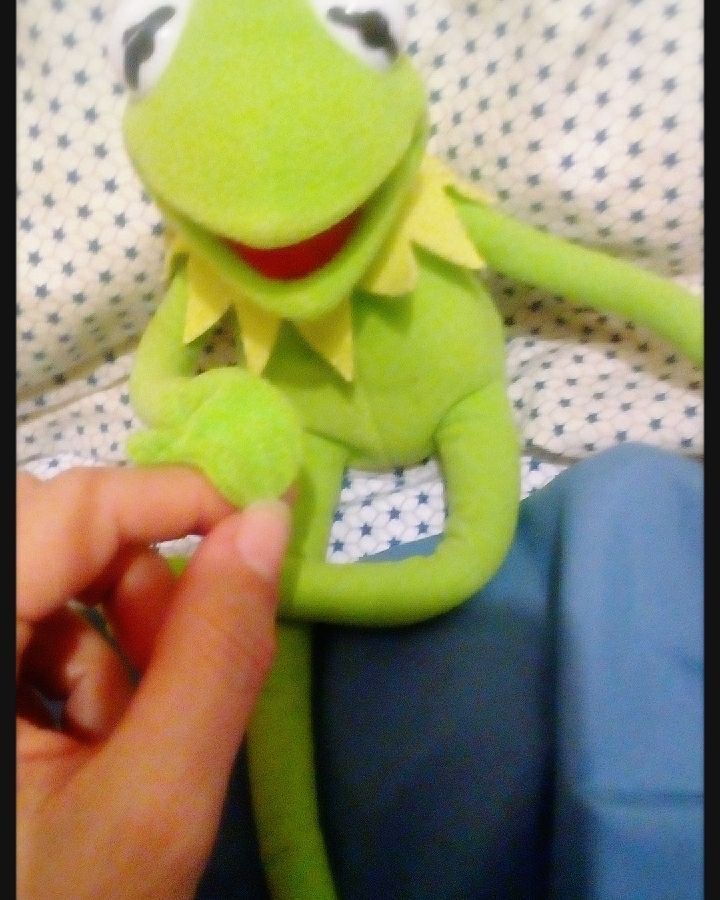 CamilahHernande's tweet photo. Domingos de resacas en buenas compañias 🐸💚✌ #Gustavo #y #missgf #love #loveforgustavo #loveformirana #loveforme #lo… https://t.co/mVyz5ZJyOM