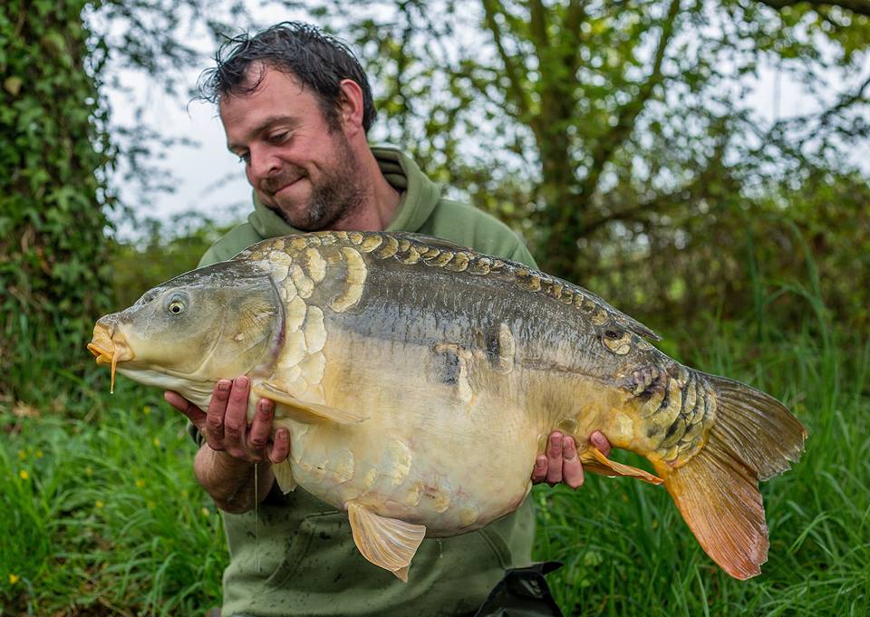 LacCoronCarp's tweet photo. Blown away, what a fish!
Not one of our biggest but certainly one of the most special! #coronvibe https://t.co/XXTwo15nsx