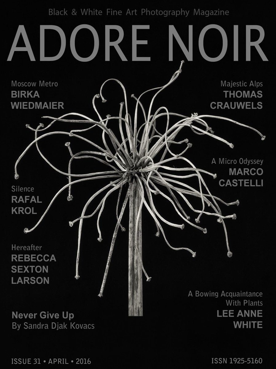 adorenoir's tweet photo. Check out the new issue of Adore Noir magazine https://t.co/e1bHVxoW35 https://t.co/K91DW4WQDw