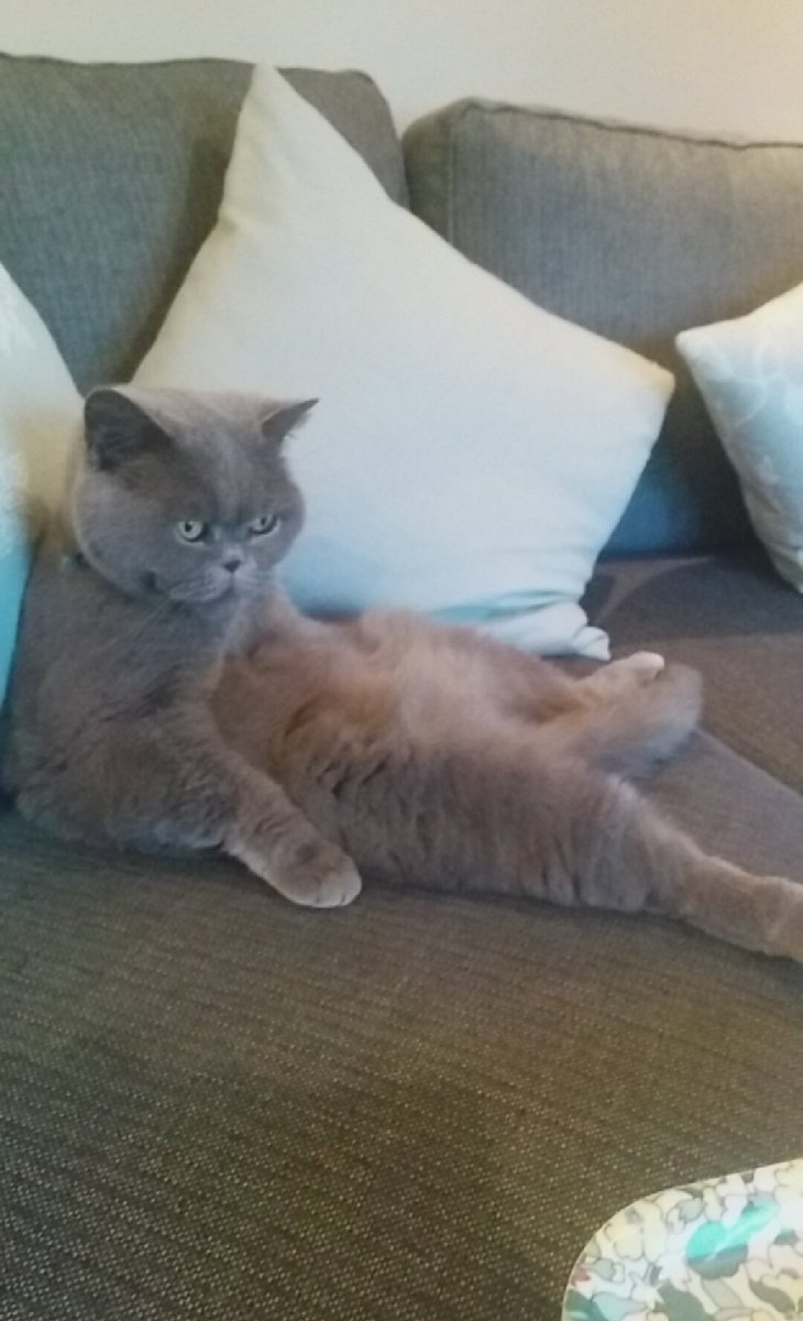 'When summers coming up but you ain't summer ready'