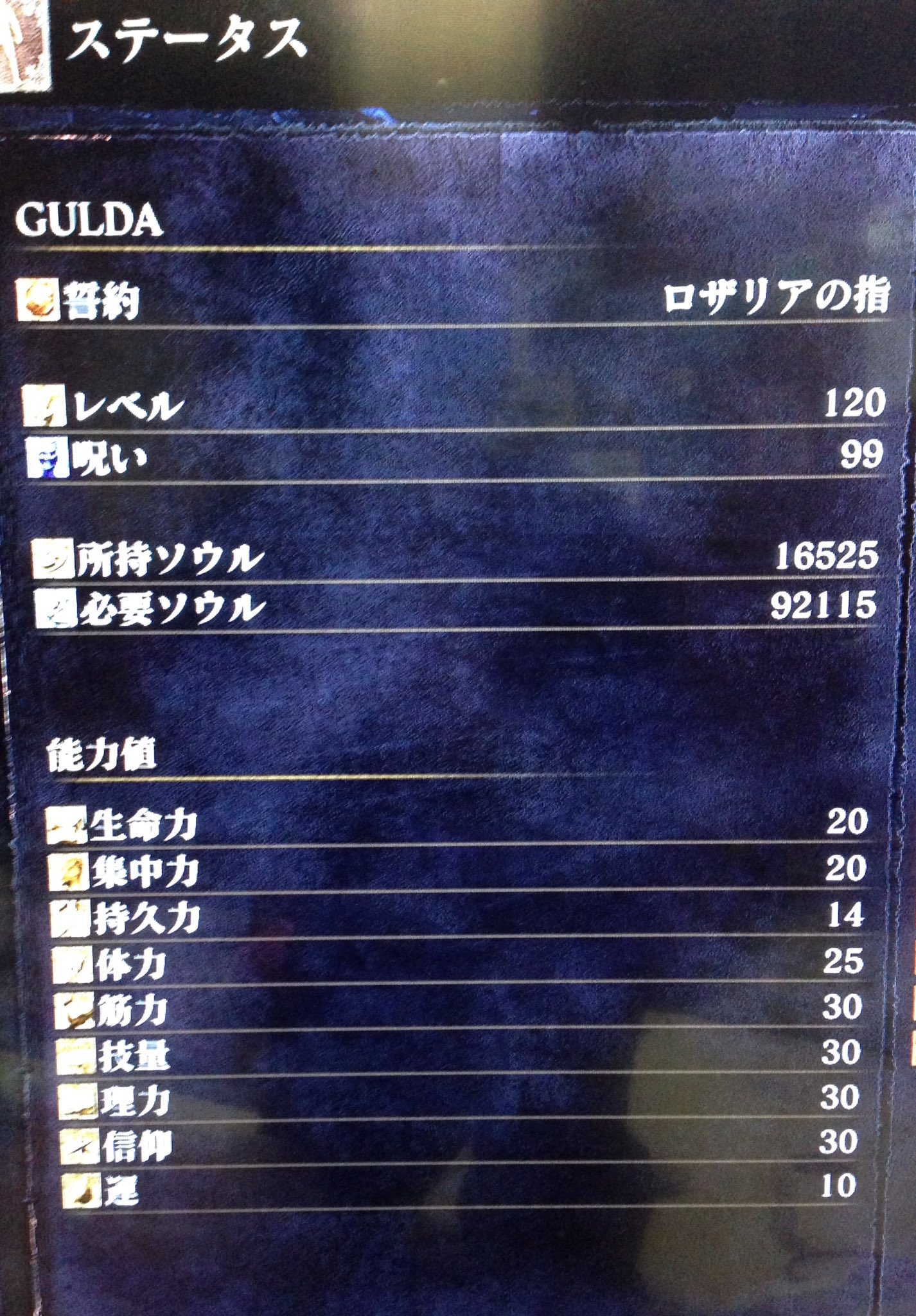 館長ガルダ على تويتر ダークソウル3 王たちの化身 に敗れ 自身を見つめ直したガルダ 機は熟した 再び王と王殺しの闘いが始まる ガルダ 充分だろ ヴェル いつもどおりの上質キャラだね ガルダ ダークハンドの為だぞ 補正の能力値オール30だ