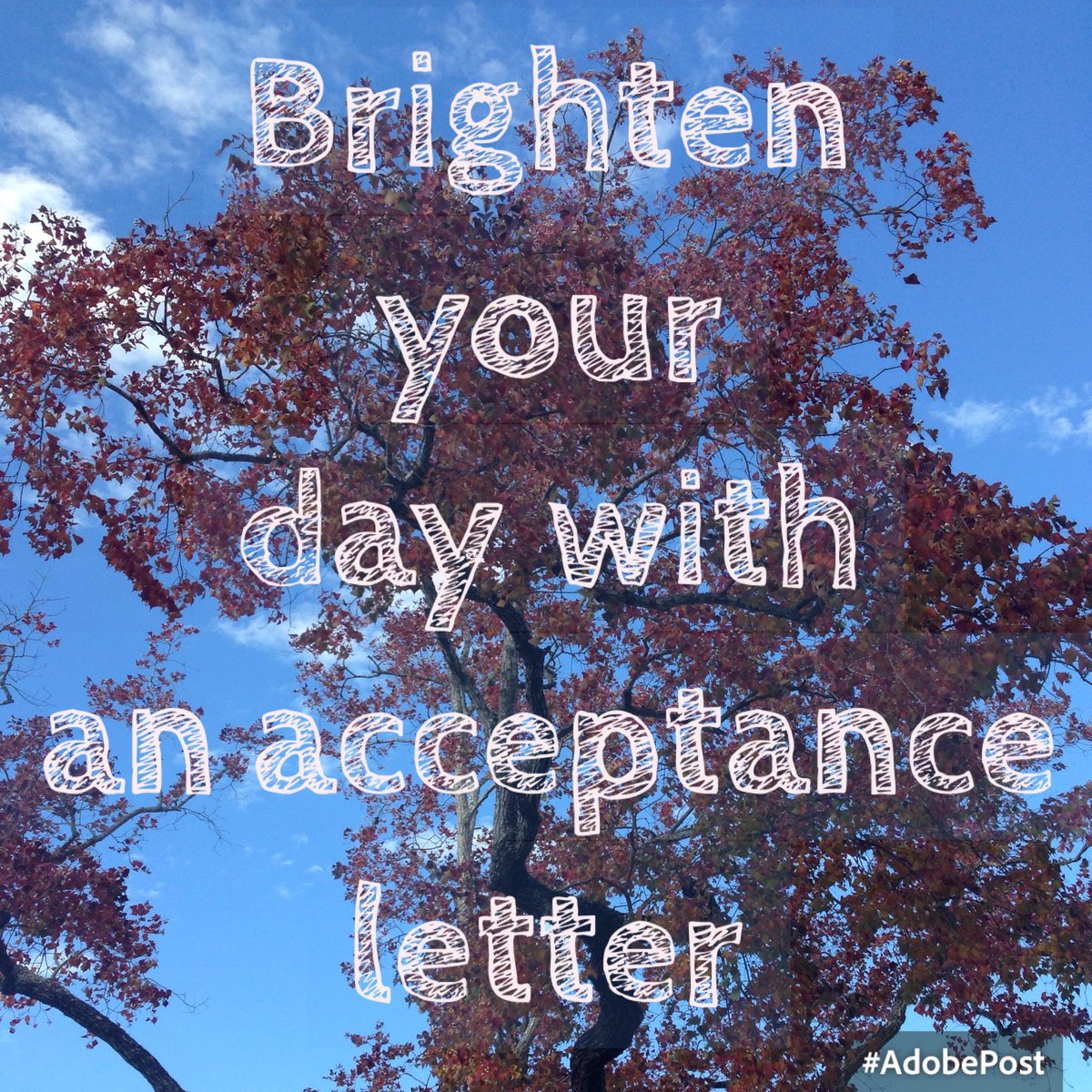 RTAdmissions's tweet photo. Let us help make your #sundayfunday brighter. #gradschool #acceptanceletter #booyeah #happiness #sucesss https://t.co/jyVUiTOkCV
