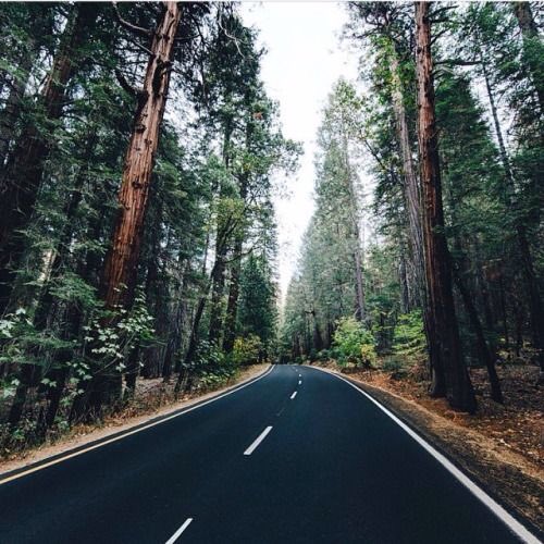 adventurful tweet picture