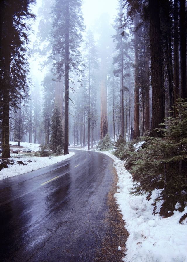 adventurful tweet picture