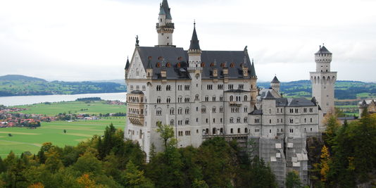 NoCooldown tweet media