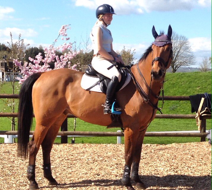 eshackell's tweet image. This horse 🦄😍