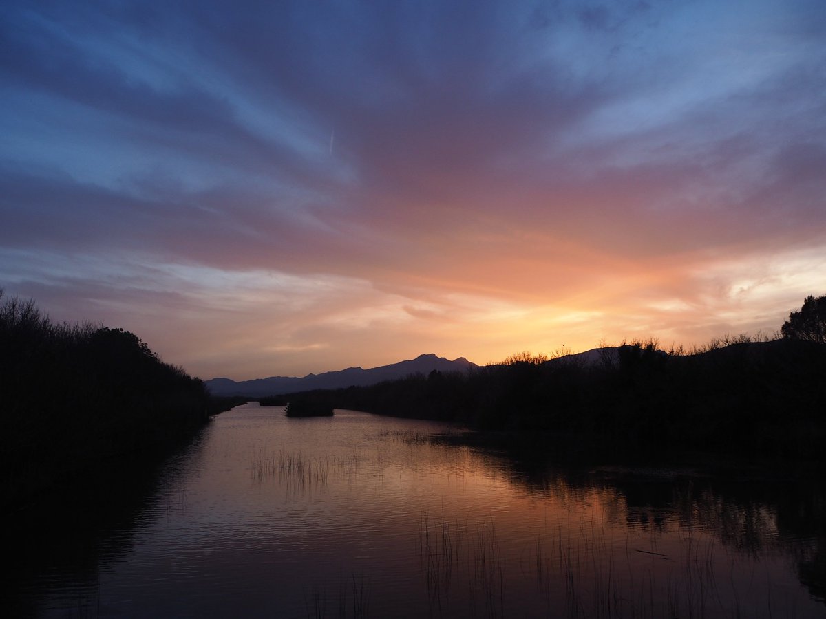 pekesmallorca's tweet image. Colores de #atardecer #albufera de #alcudia. #excursionesconniños @mallorcaenfotos @RDMtk