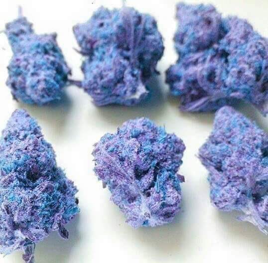 WeedBcn's tweet photo. Does anyone know what strain this is? #real? #blue #green? https://t.co/gsb5MGWVRP