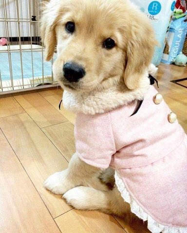 peachwinks's tweet photo. https://t.co/NLRya2OoIv