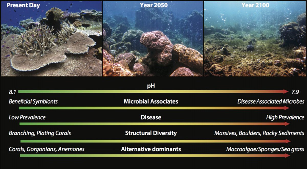 NEW &amp; IMPORTANT Implications of #OceanAcidification for #Marine Microorganisms. bit.ly/20O5XOL