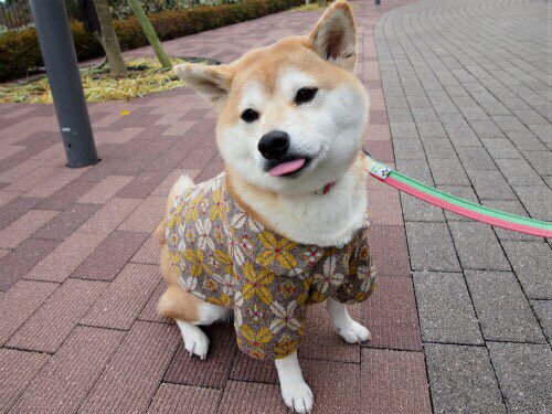 peachwinks's tweet photo. https://t.co/RDai1I2F6p