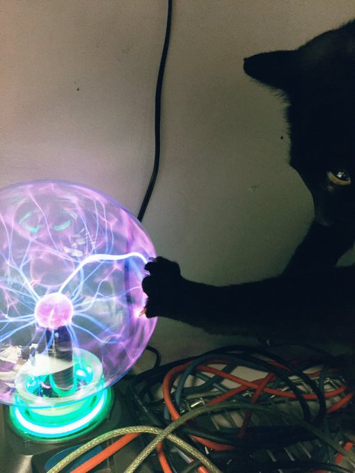 My favorite freaky space bitch https://t.co/9FQQPGae3X
