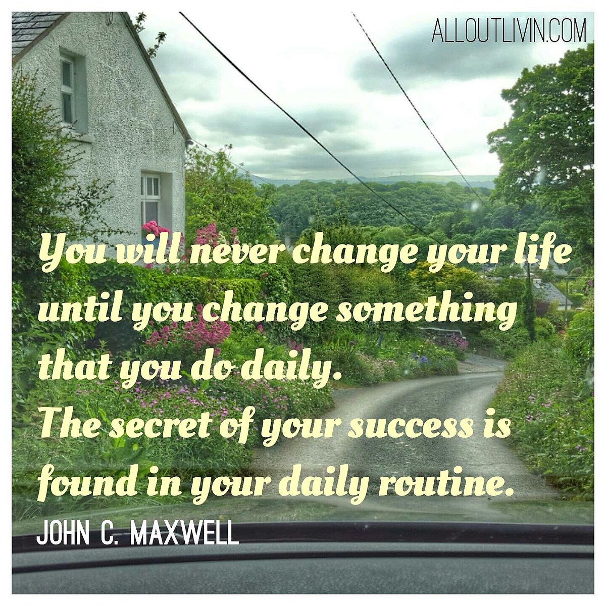 Free_From_Work's tweet image. 