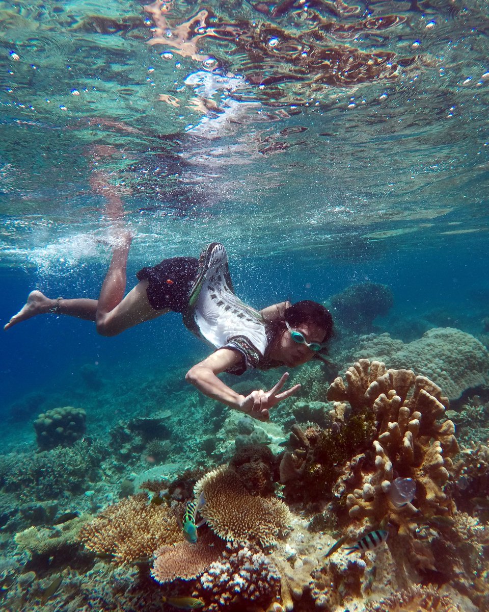 sall_irss's tweet photo. Peace in waterworlds.. #karimunjava https://t.co/BTu8sQ2Lbh