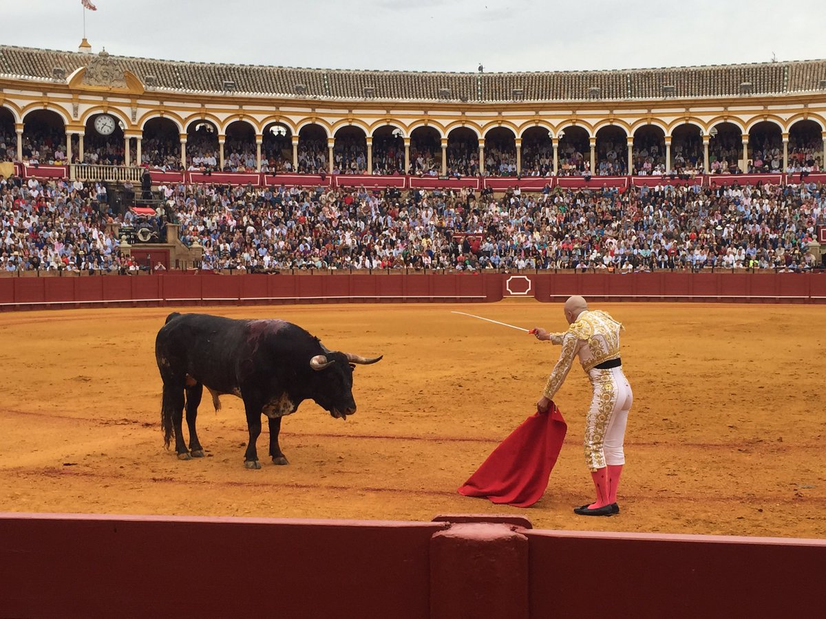 CuaresmaRevista's tweet photo. Este señor,con un cáncer hace apenas un rato,ha tenido la hombría de ponerse delante de 2 miuras: vivan los toreros! https://t.co/MsTypZsFjn