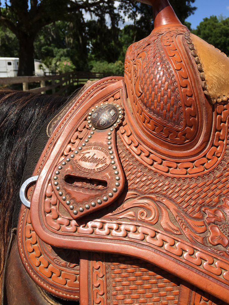 brokenbranchss's tweet image. 