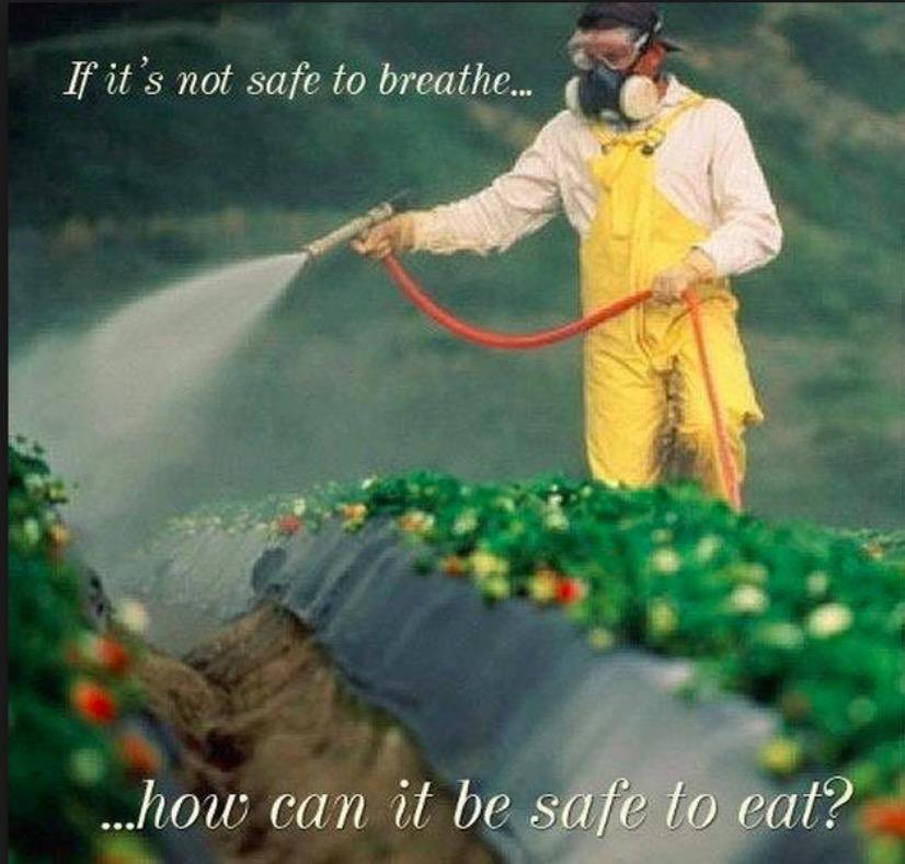 Fight Against GMOs (@say_no_gmo) on Twitter photo 