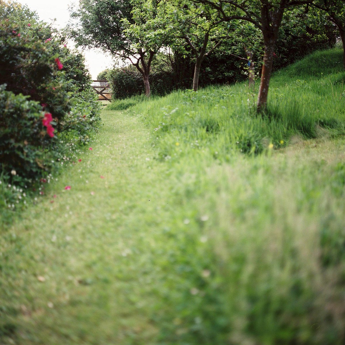 TheDOLectures's tweet image. “The master has failed more times than the beginner has even tried.”
― Stephen McCranie